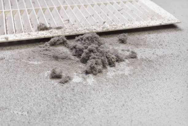 Best Affordable HVAC Duct Cleaning  in Holly, MI