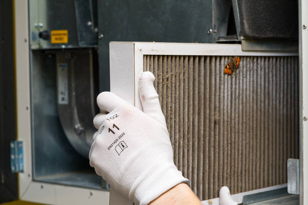 Best HVAC System Cleaning  in Holly, MI