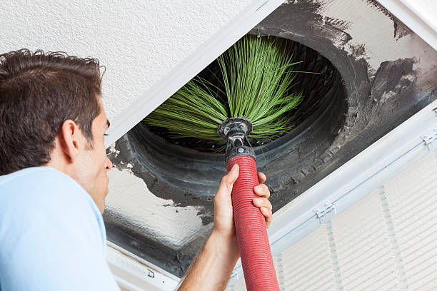 Best Air Duct Mold Removal  in Holly, MI