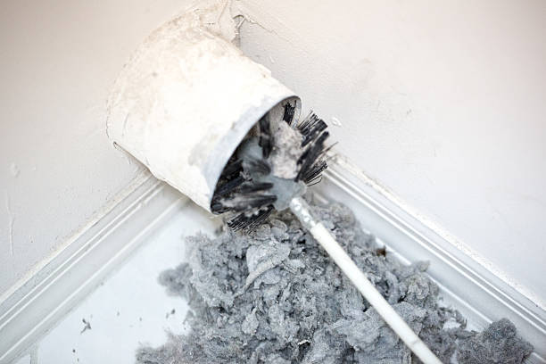 Best Air Duct Cleaning Company Near Me  in Holly, MI